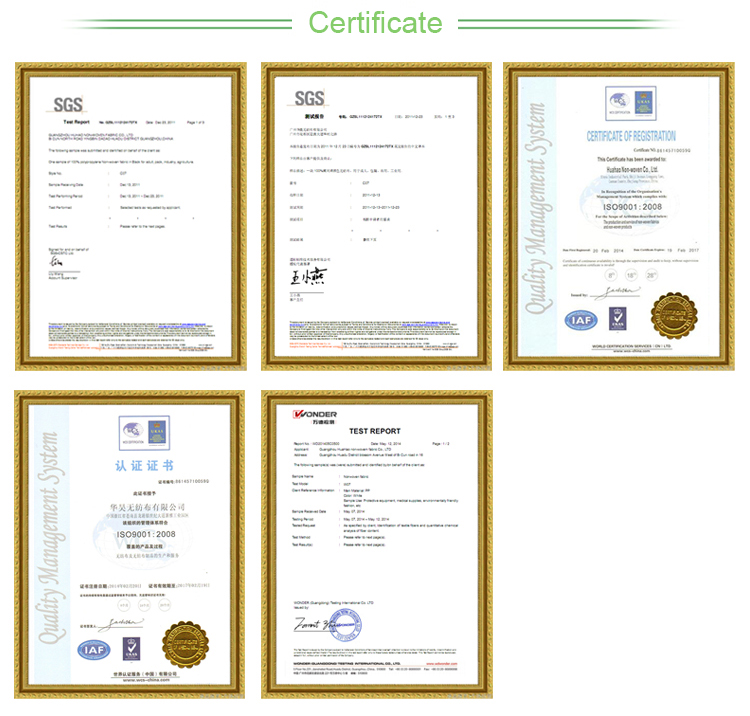 certificate.jpg
