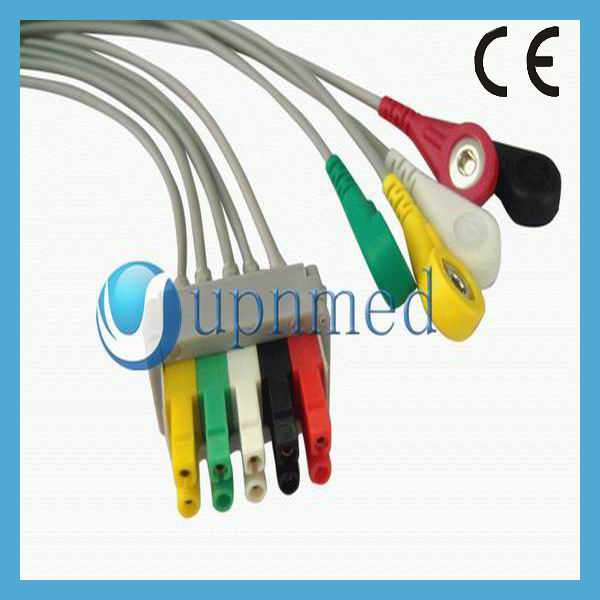 pro 1000 5 leadwires ,snap.jpg