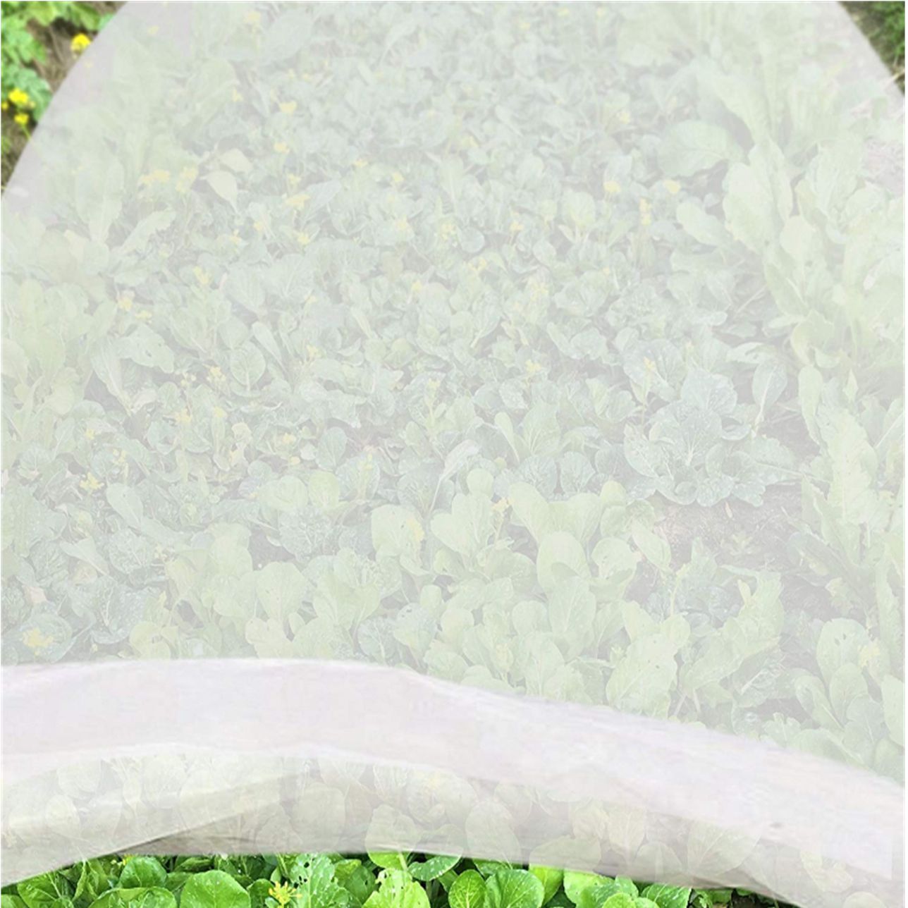 Nonwoven Agricultural-5
