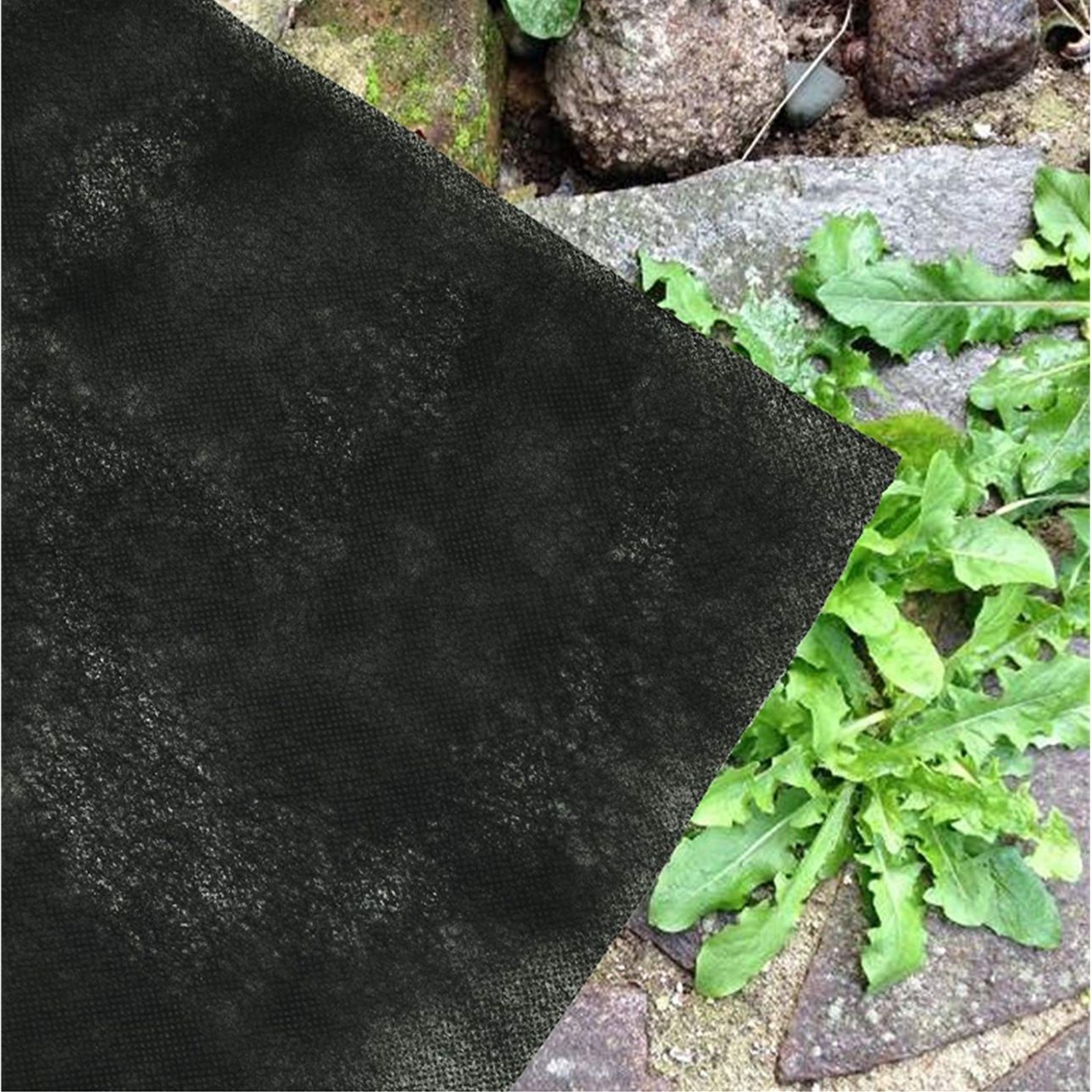 Nonwoven Agricultural-6.jpg