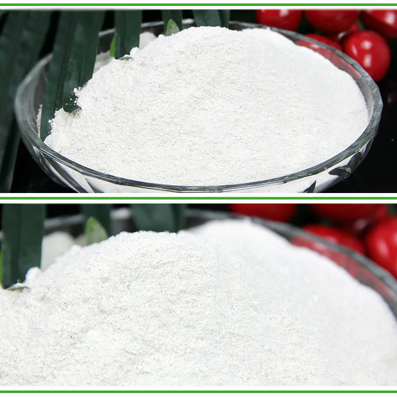 fertilizer Magnesium sulphate monohydrate