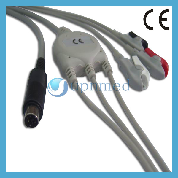 GEDC72301.JPG