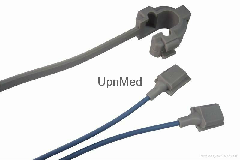 neonate Y type.jpg