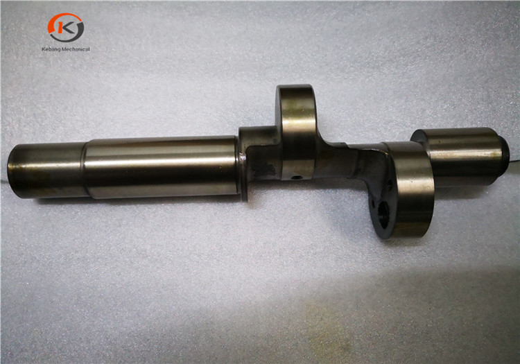 Bitzer (2DC-CC)1_.jpg