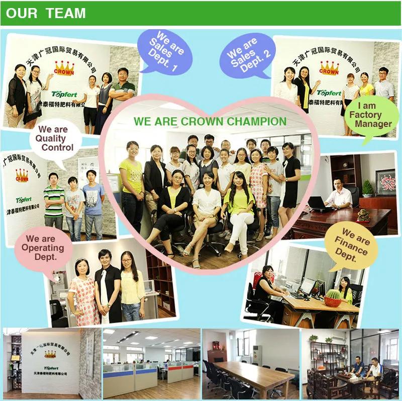 Our Team