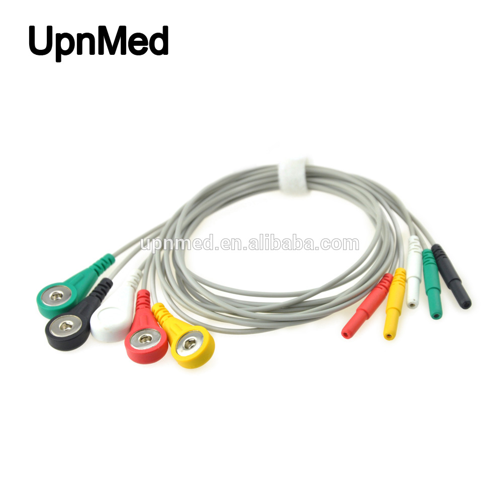 Din 5 lead IEC snap1.jpg
