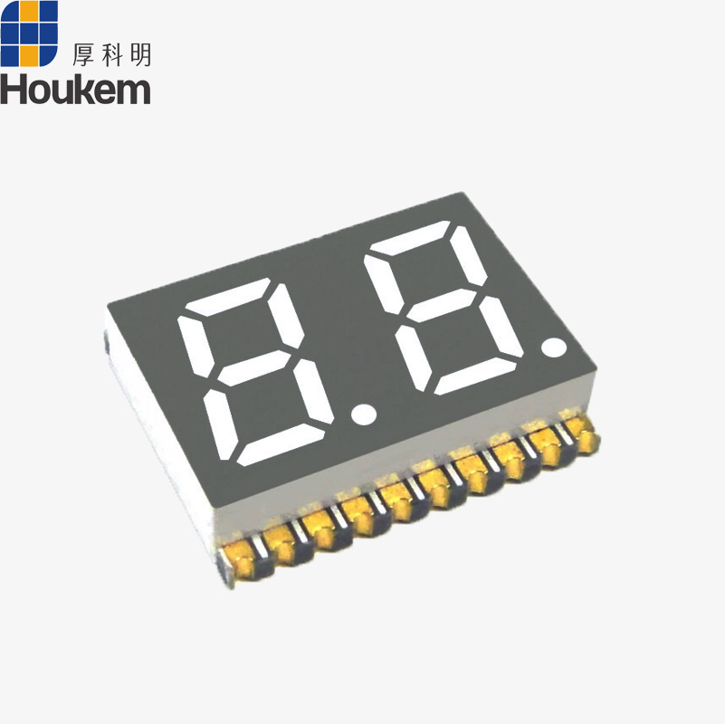 3021smd.jpg
